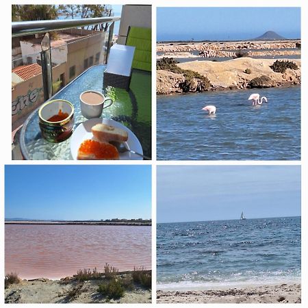 Nice Apartment With Terrace On The Los Locos Beach تورّيفيِخا المظهر الخارجي الصورة